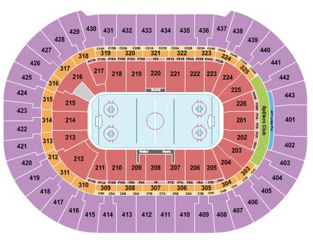 Honda Center Hockey 2