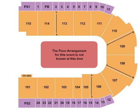 Grossinger Motors Arena Generic Floor
