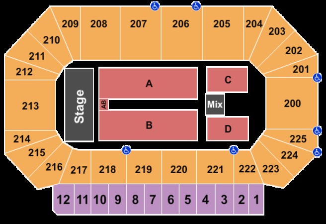 Mannheim steamroller concert dates 2020