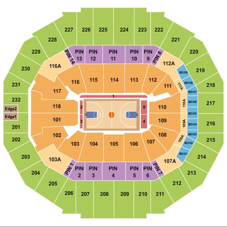 FedExForum Basketball - Tigers
