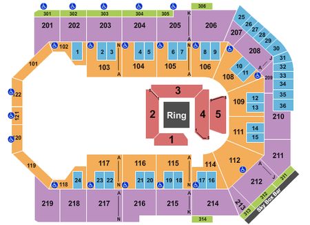 Toyota Arena Sumo