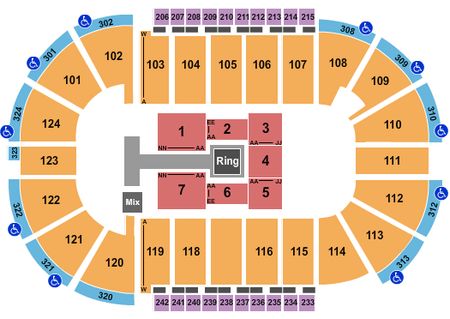 Santander Arena Wrestling 2