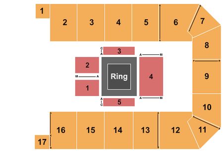 Canton Memorial Civic Center MMA3