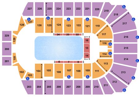 Blue Cross Arena Disney On Ice 3