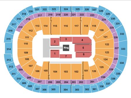 Lenovo Center WWE 3